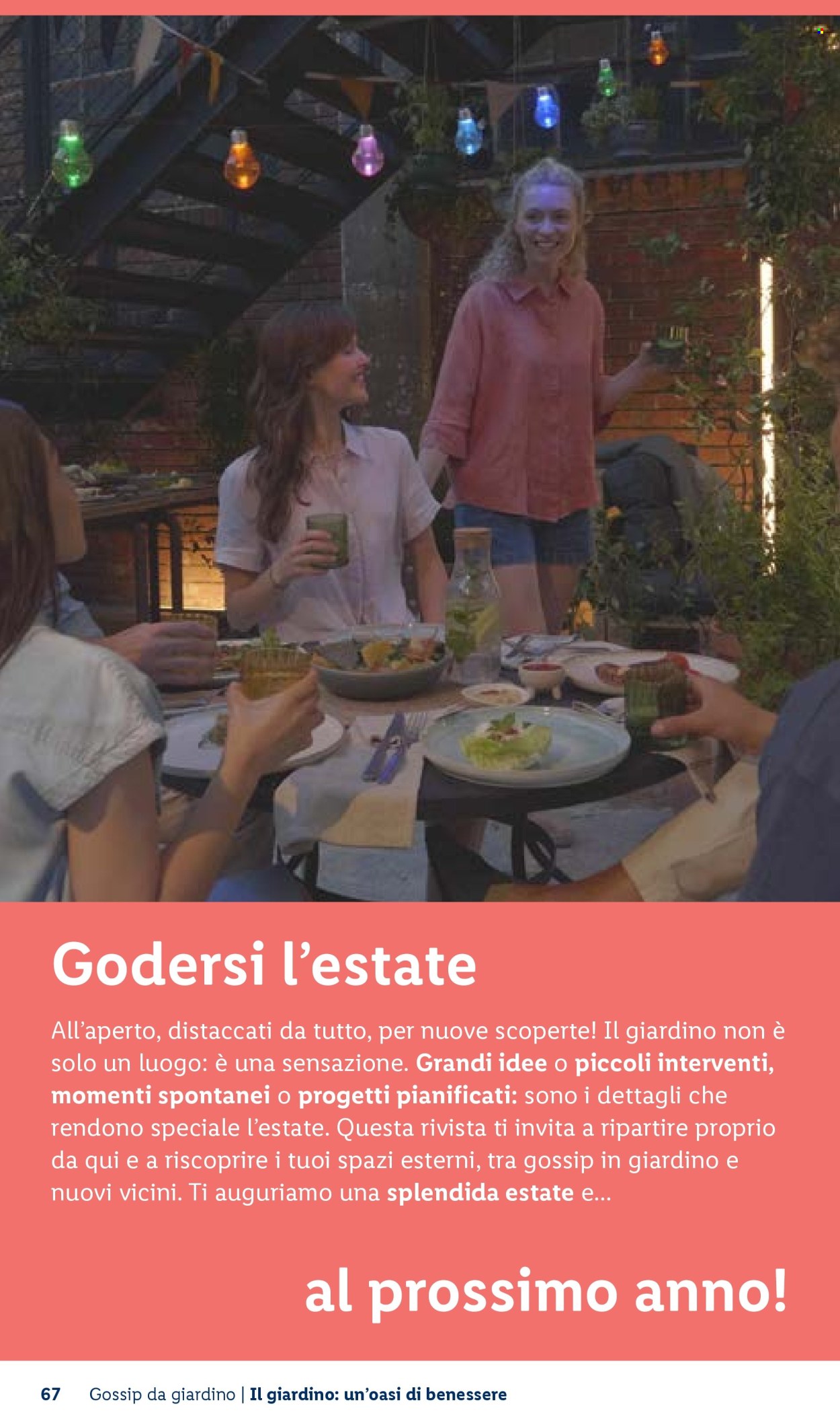 Volantino Lidl. Pagina 67