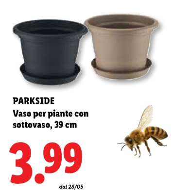 PARKSIDE