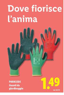 PARKSIDE Guanti da giardinaggio
