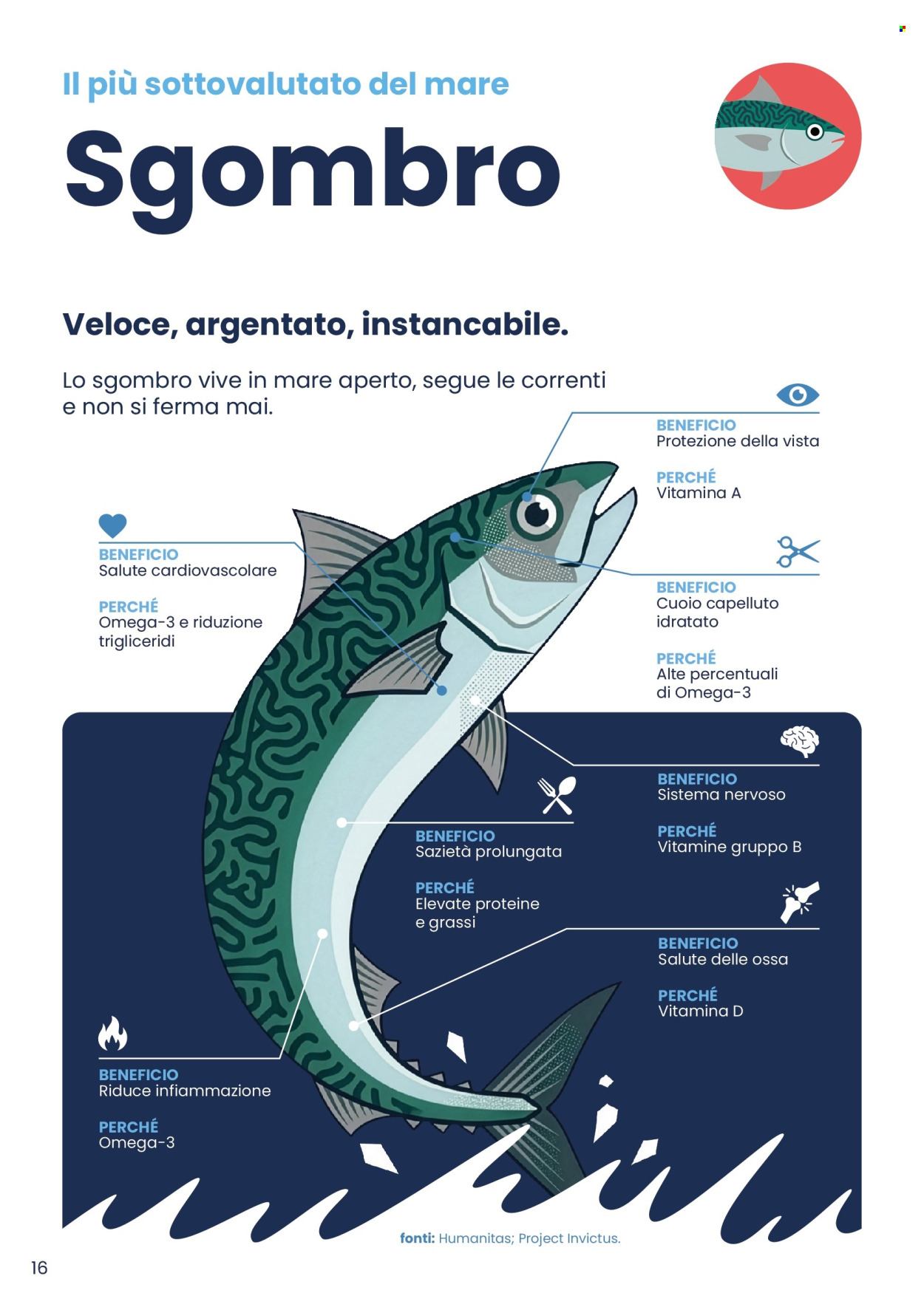 Volantino Interspar - 20/4/2026 - 31/5/2026. Pagina 16