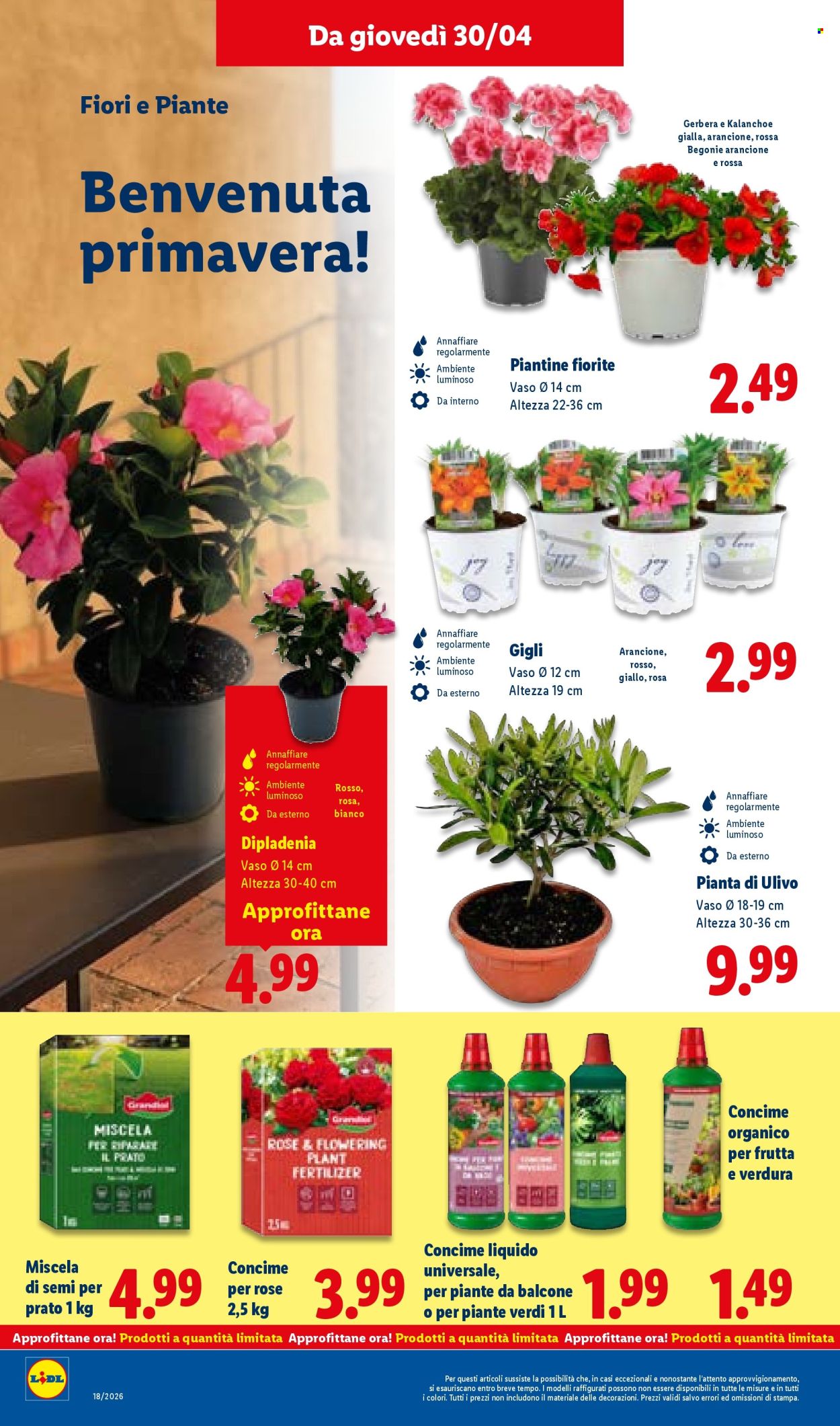 Volantino Lidl - 30/4/2026 - 6/5/2026. Pagina 32