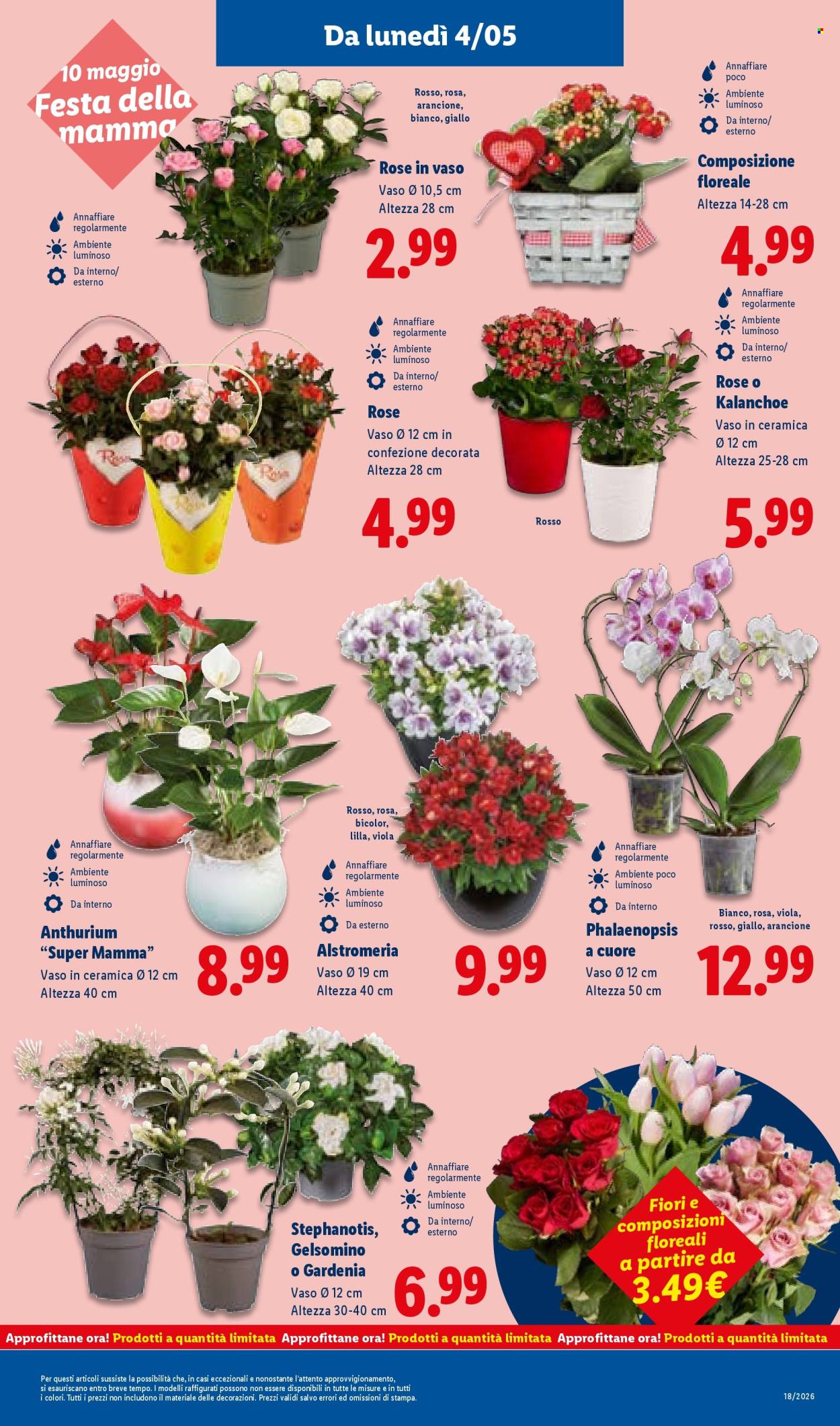 Volantino Lidl - 30/4/2026 - 6/5/2026. Pagina 33