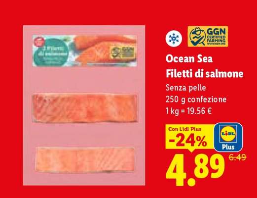 Ocean Sea Filetti di salmone