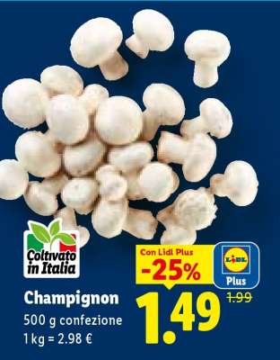 Champignon