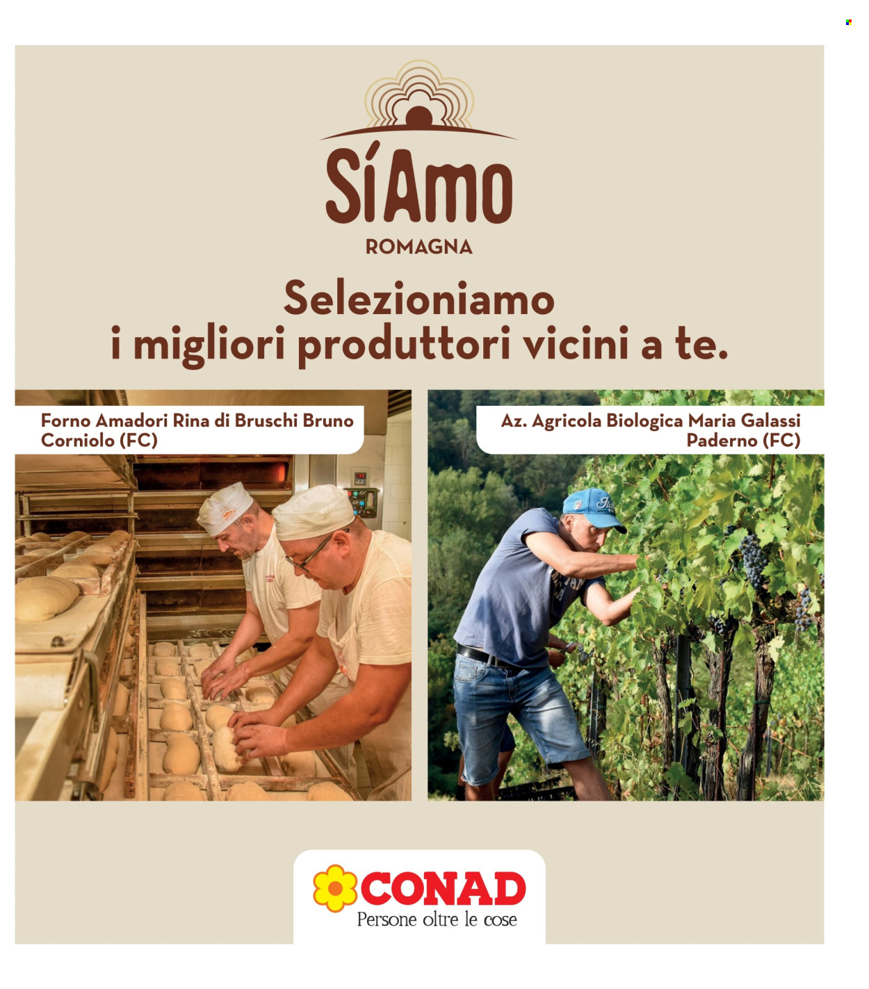 Volantino Spazio Conad - 30/4/2026 - 14/5/2026. Pagina 31