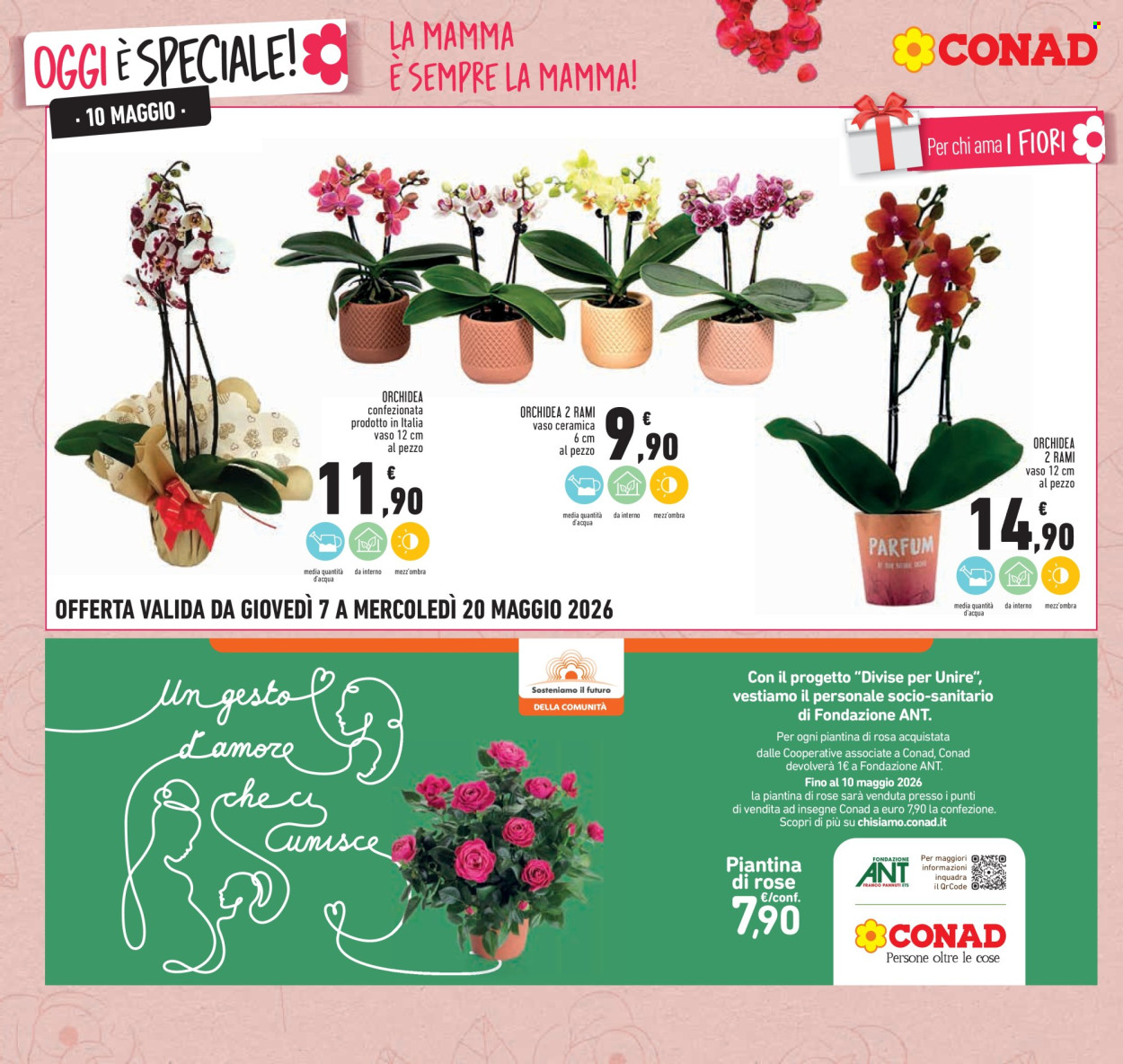 Volantino Conad - 7/5/2026 - 20/5/2026. Pagina 10
