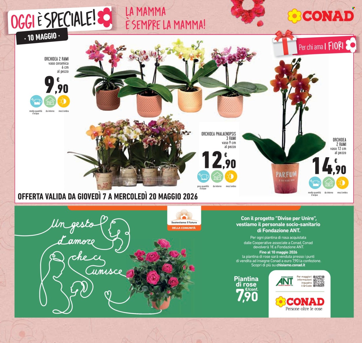 Volantino Conad - 7/5/2026 - 20/5/2026. Pagina 10