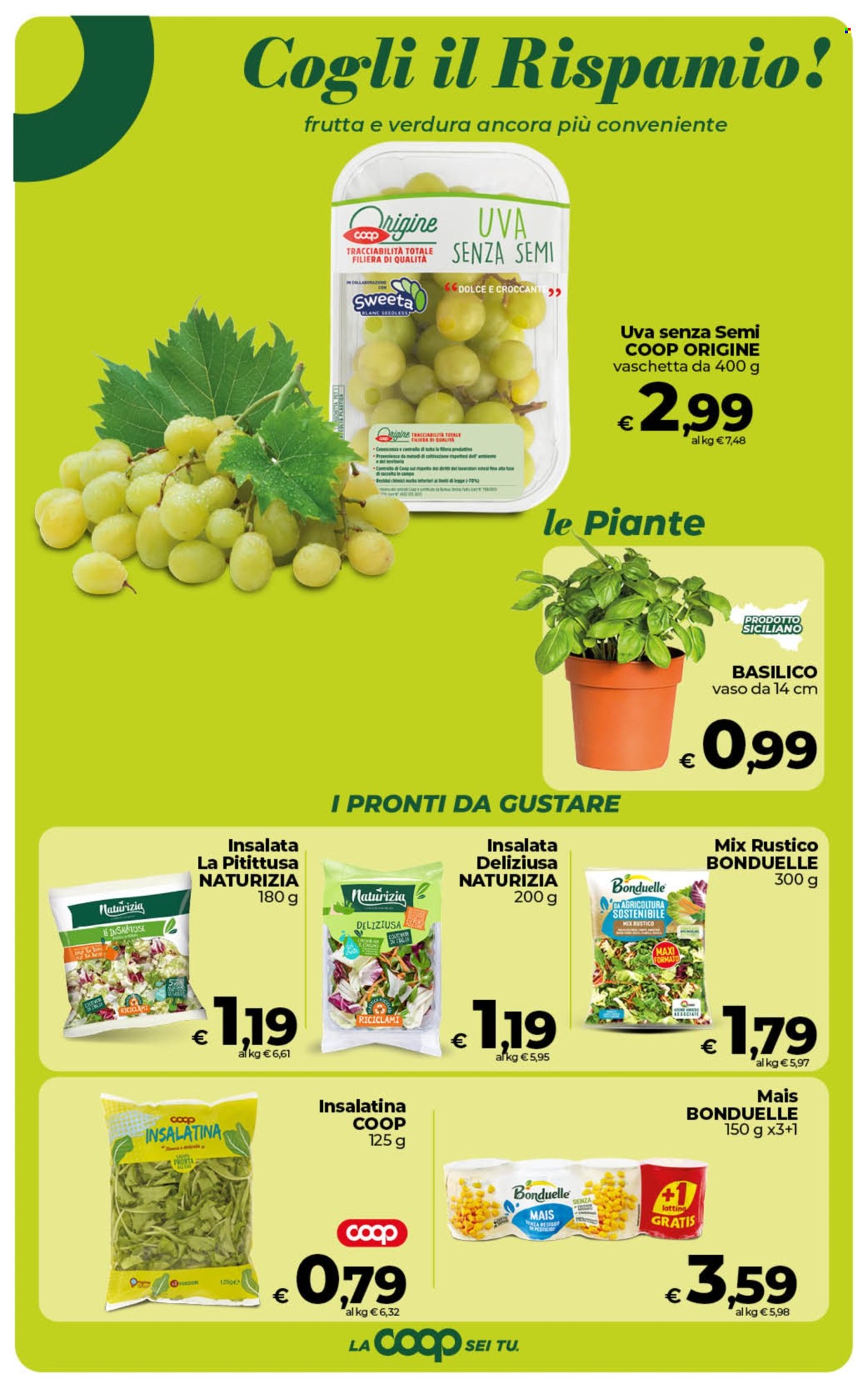 Volantino Coop - 28/4/2026 - 6/5/2026. Pagina 9