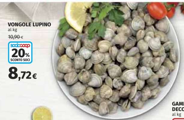 Vongole Lupino