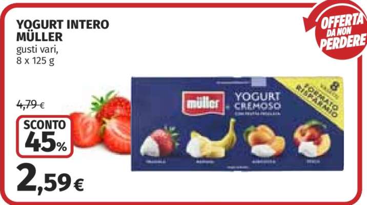 Yogurt Intero Müller