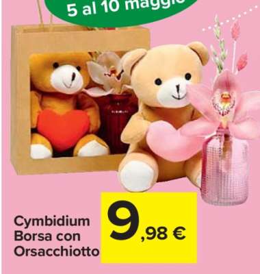 Cymbidium Borsa con Orsacchiotto