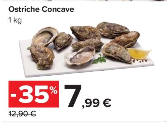 Ostriche Concave