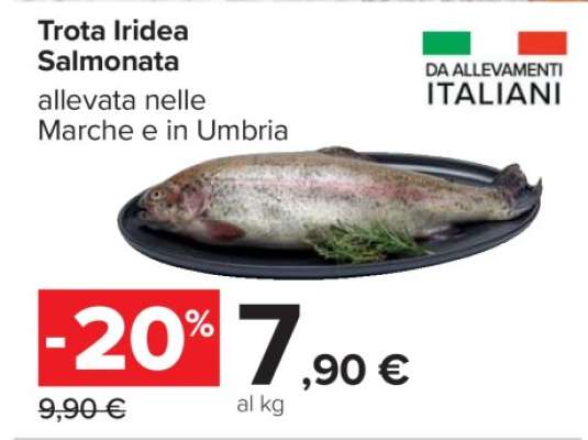 Trota Iridea Salmonata