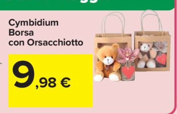Cymbidium Borsa con Orsacchiotto