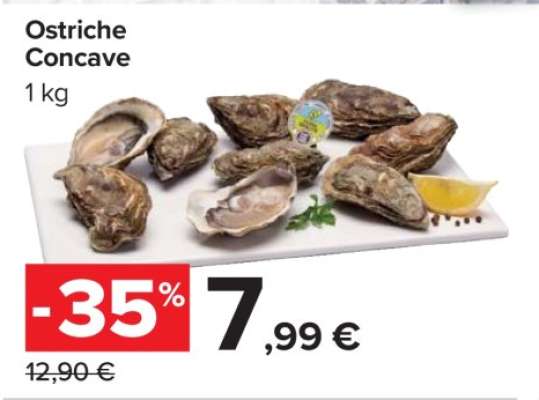 Ostriche Concave