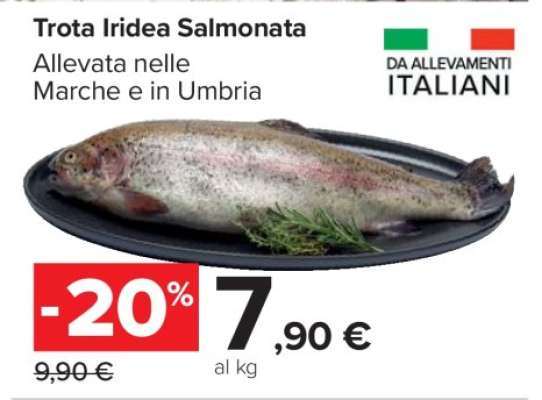 Trota Iridea Salmonata