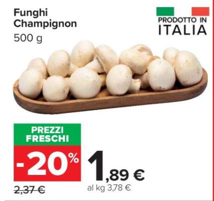 Funghi Champignon