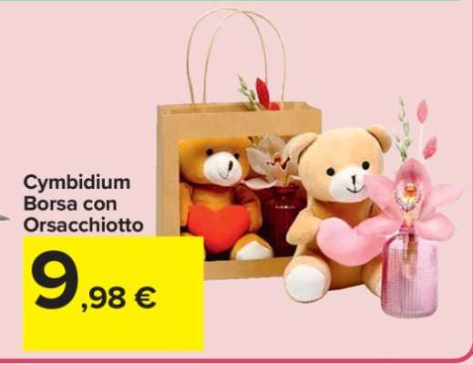 Cymbidium Borsa con Orsacchiotto