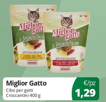 Miglior Gatto