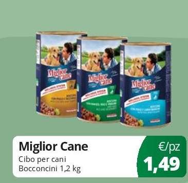 Miglior Cane