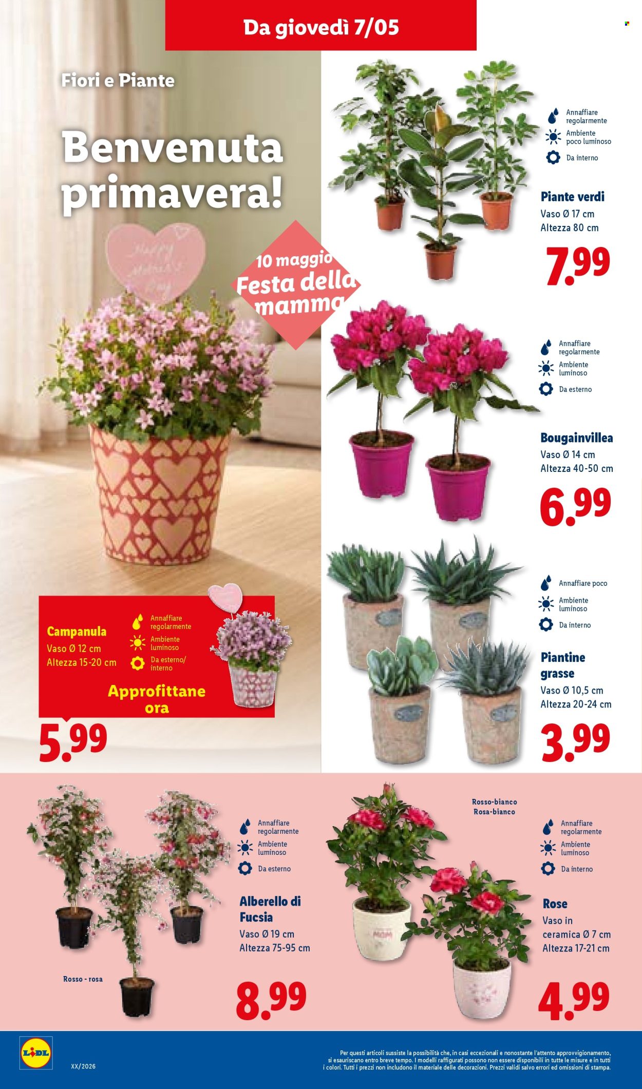 Volantino Lidl - 7/5/2026 - 13/5/2026. Pagina 30