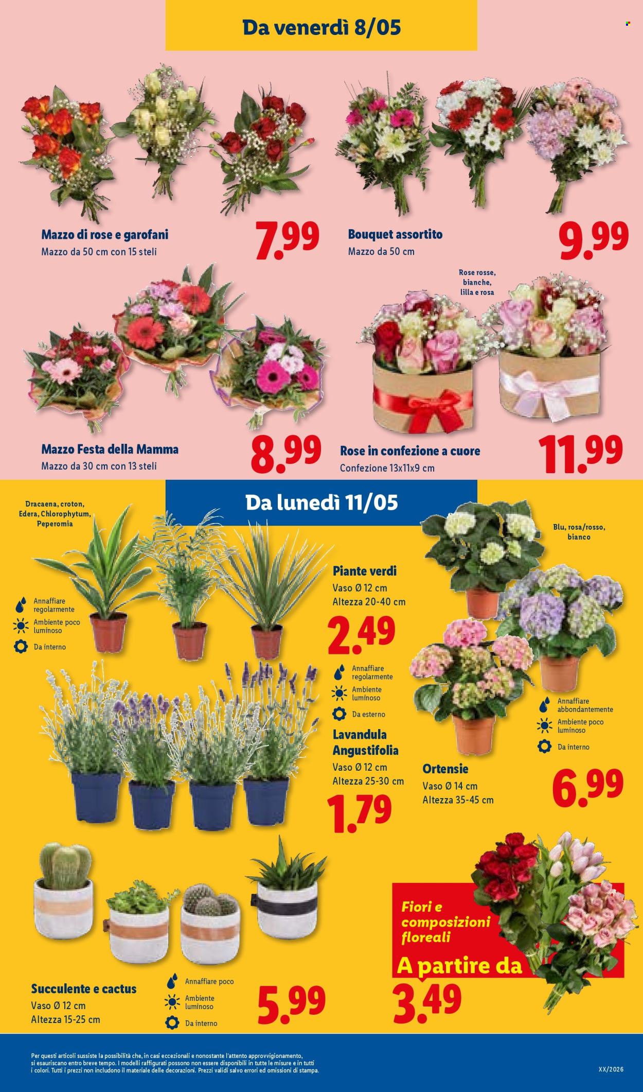 Volantino Lidl - 7/5/2026 - 13/5/2026. Pagina 31
