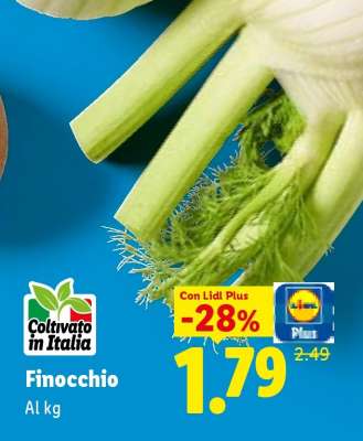 Finocchio