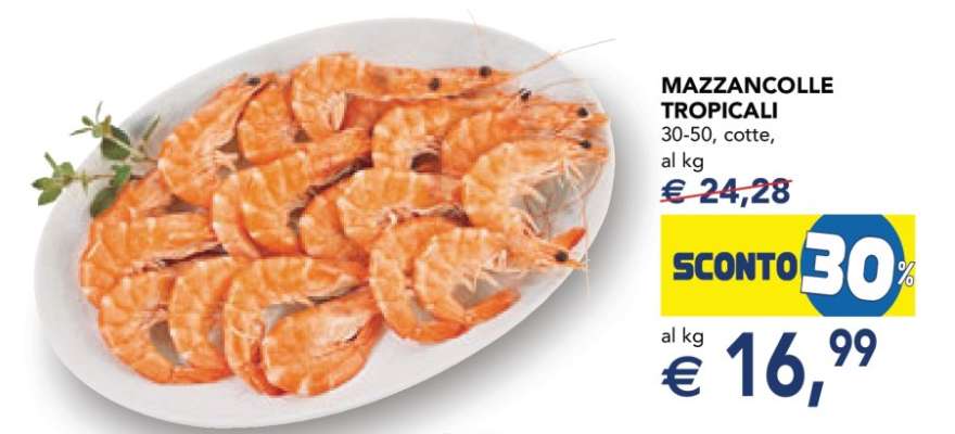 MAZZANCOLLE TROPICALI