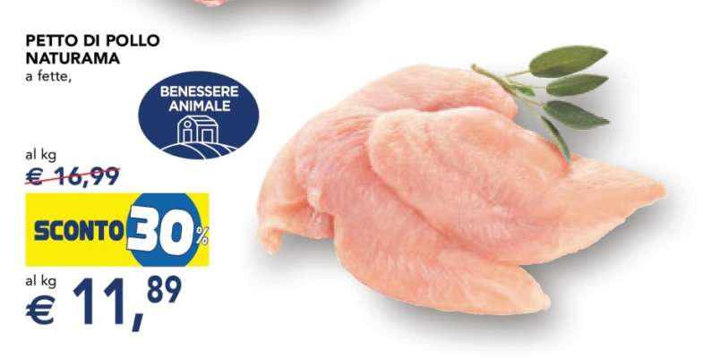 PETTO DI POLLO NATURAMA