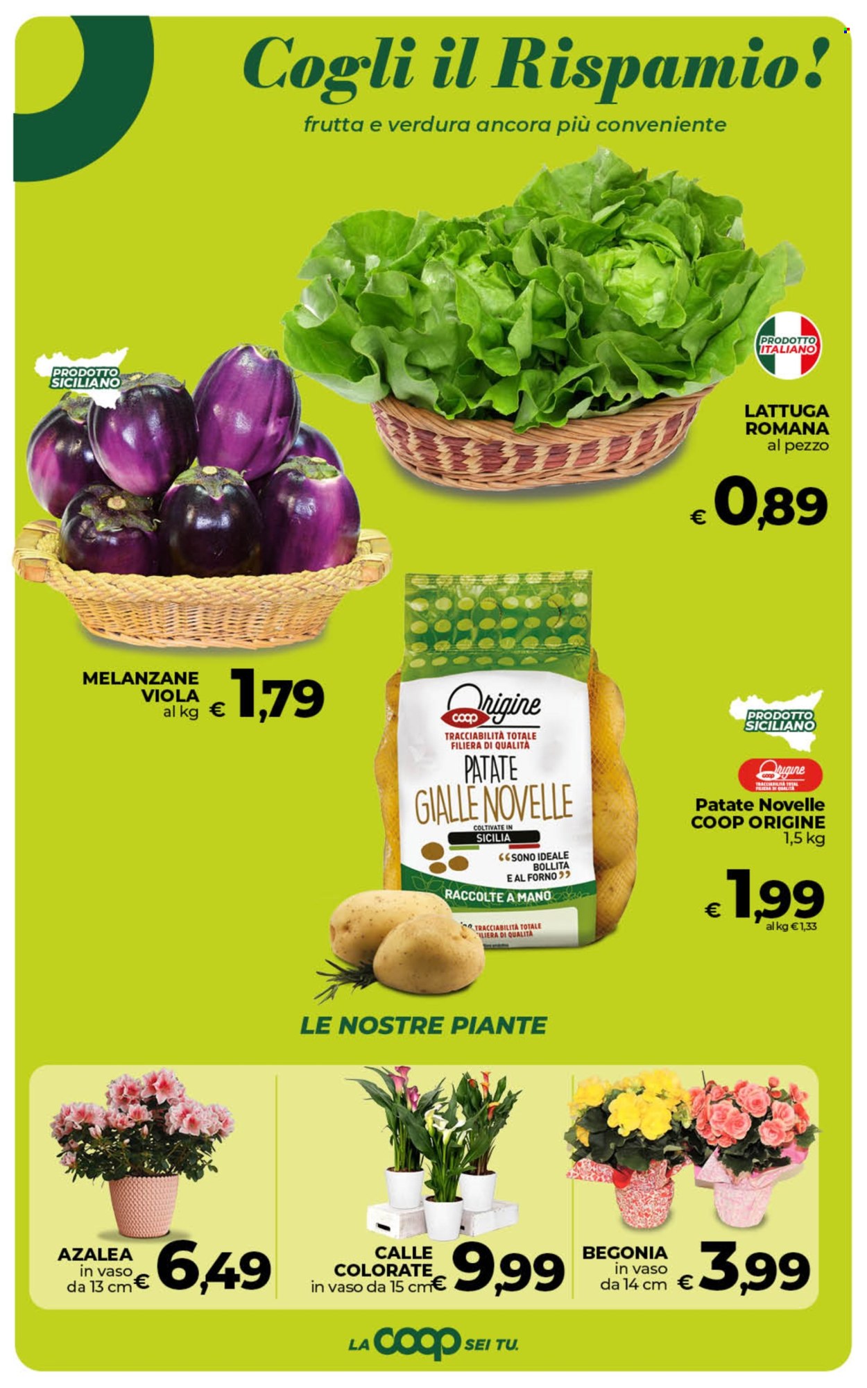 Volantino Coop - 7/5/2026 - 18/5/2026. Pagina 33