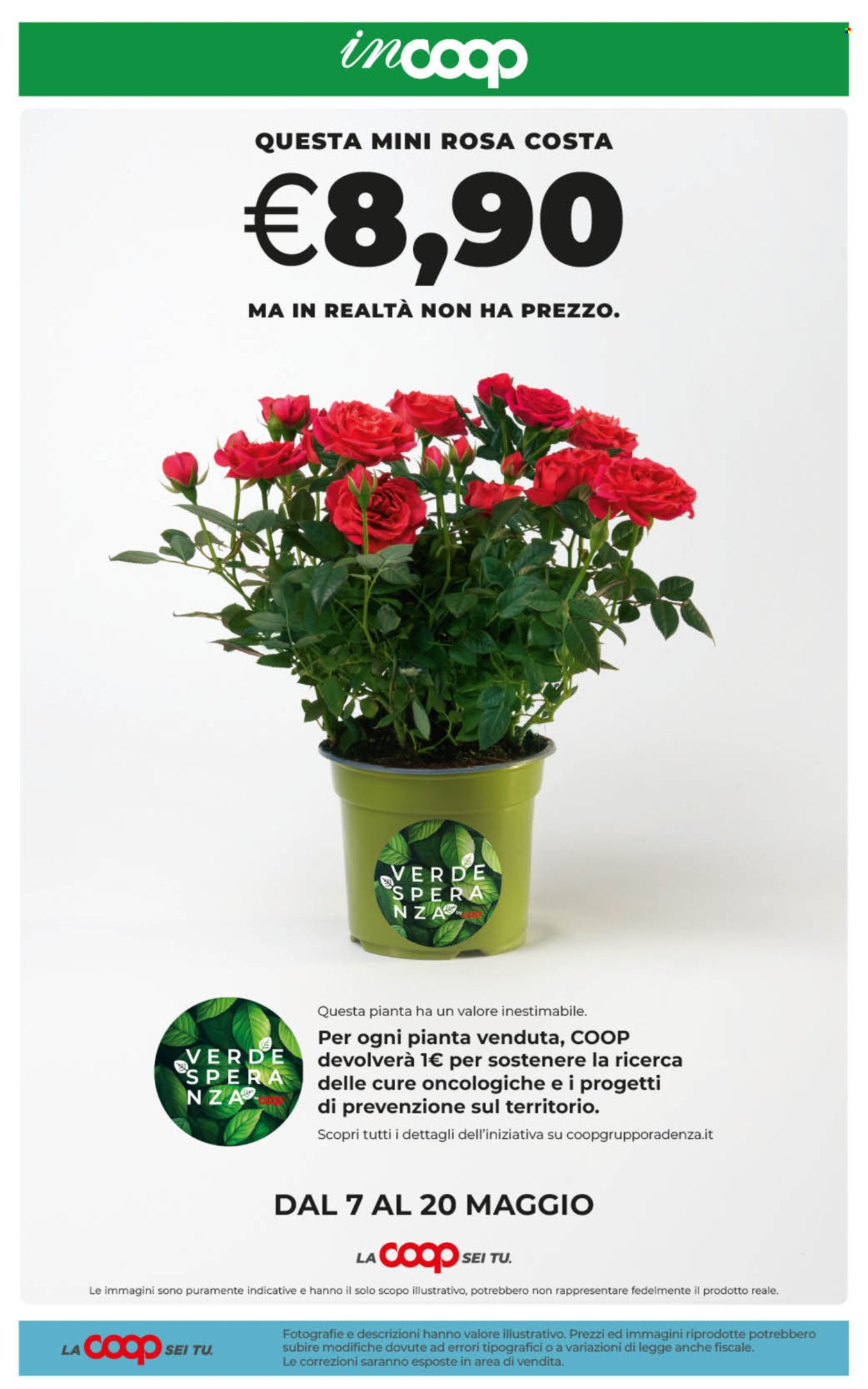 Volantino Coop - 7/5/2026 - 18/5/2026. Pagina 33