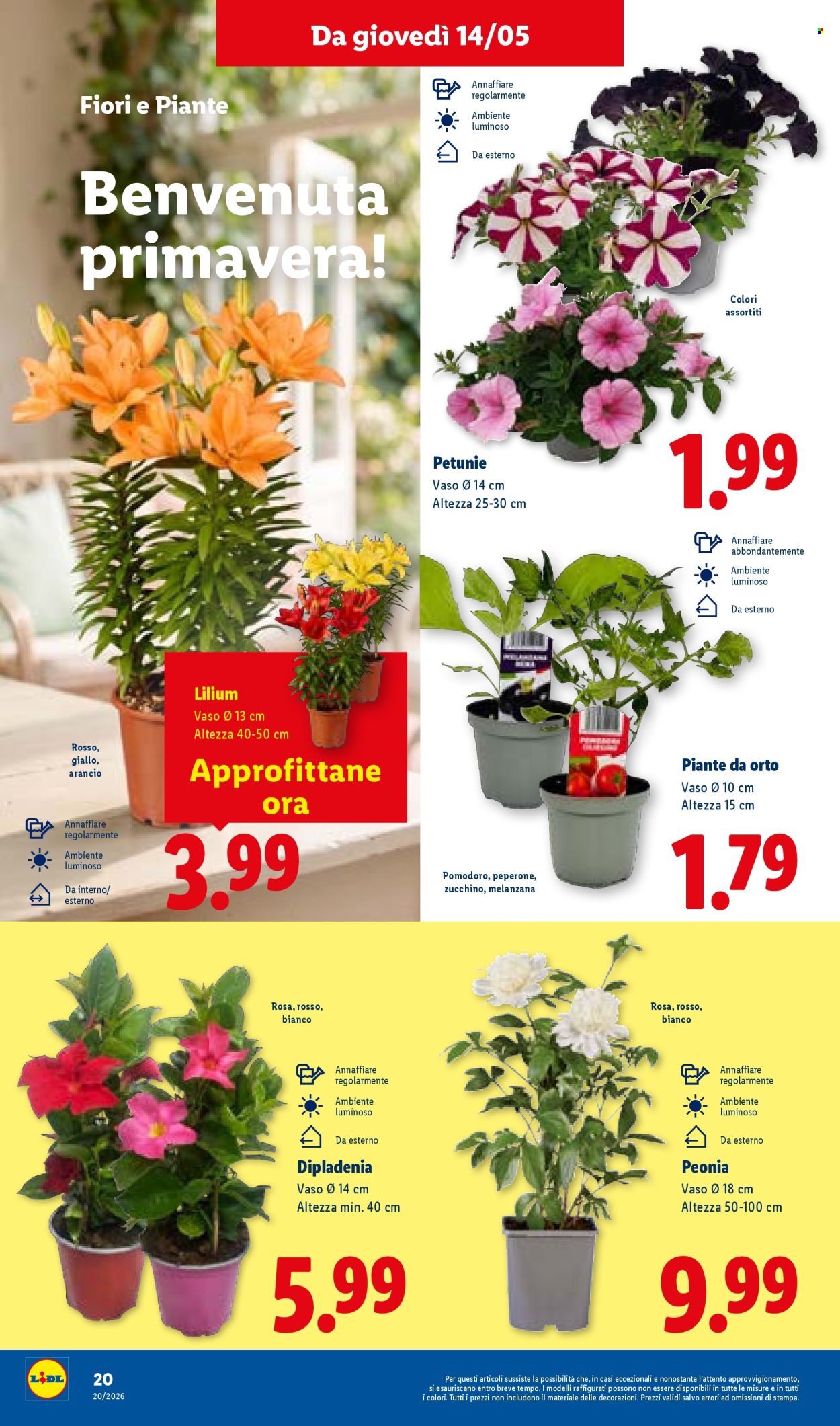 Volantino Lidl - 14/5/2026 - 20/5/2026. Pagina 28