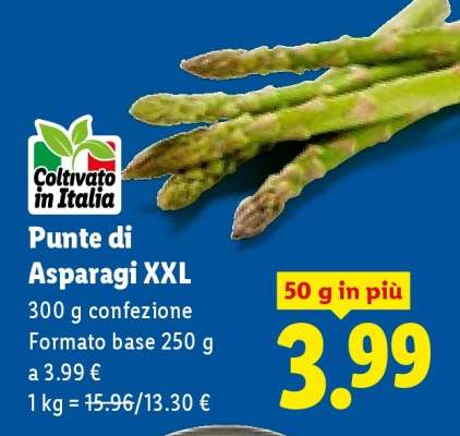 Punte di Asparagi XXL