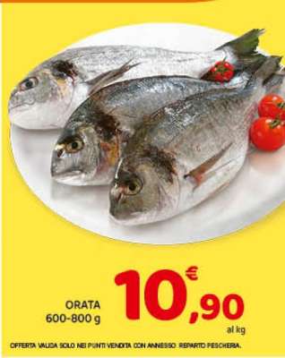 Orata