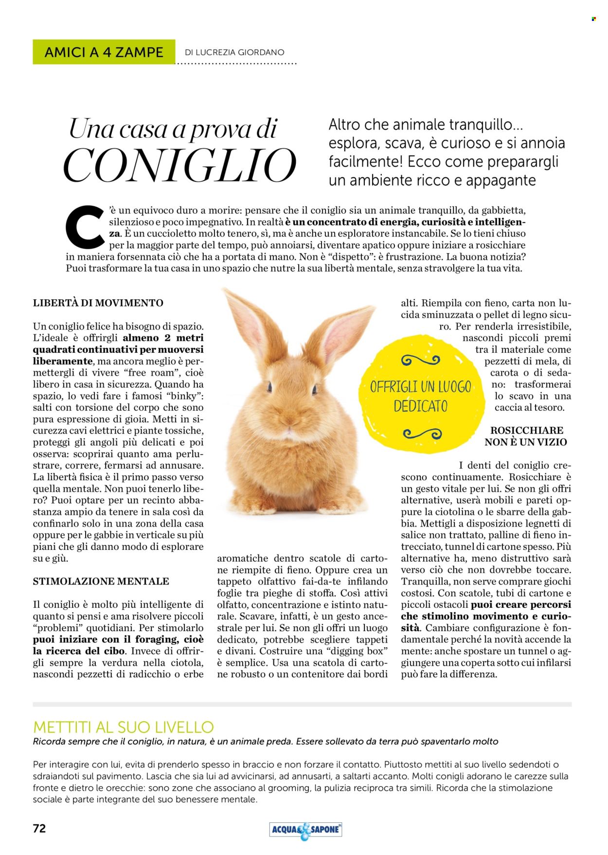 Volantino Acqua & Sapone - 1/5/2026 - 31/5/2026. Pagina 72