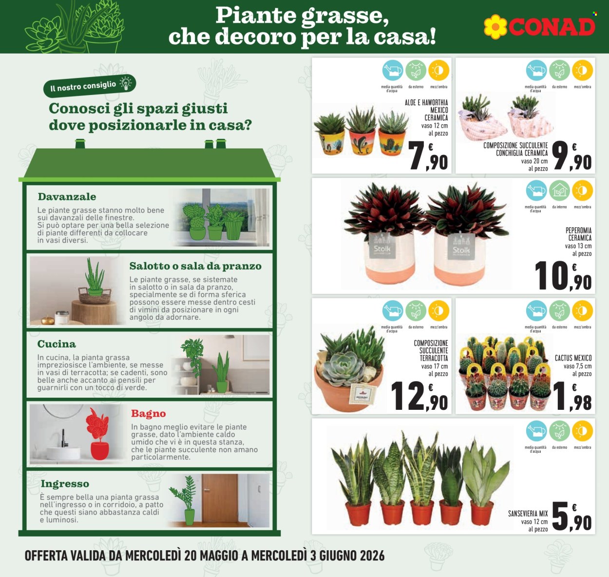 Volantino Conad - 20/5/2026 - 3/6/2026. Pagina 22