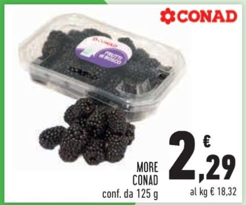 MORE CONAD