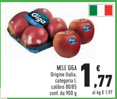 MELE GIGA