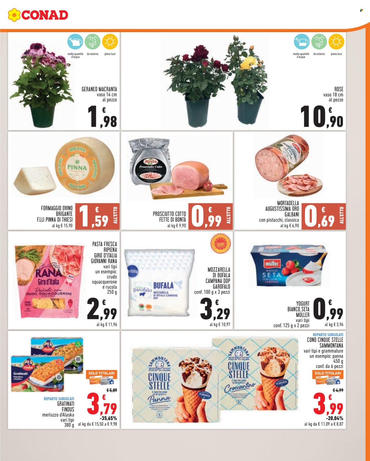 Volantino Conad - 13/5/2026 - 19/5/2026. Pagina 3