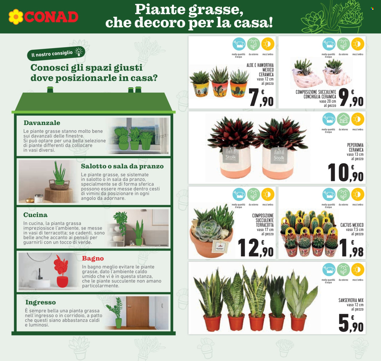 Volantino Conad - 21/5/2026 - 3/6/2026. Pagina 19