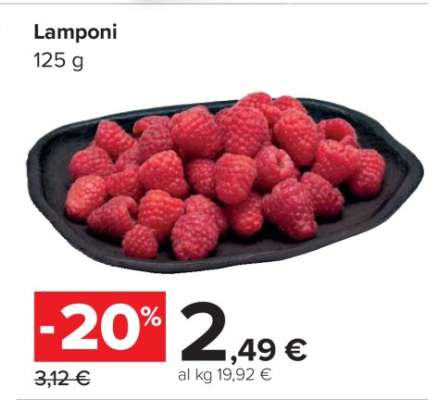 Lamponi