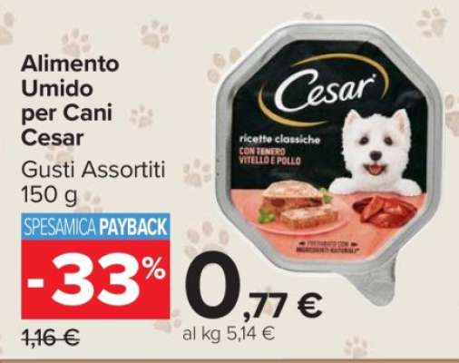 Alimento umido per cani Cesar