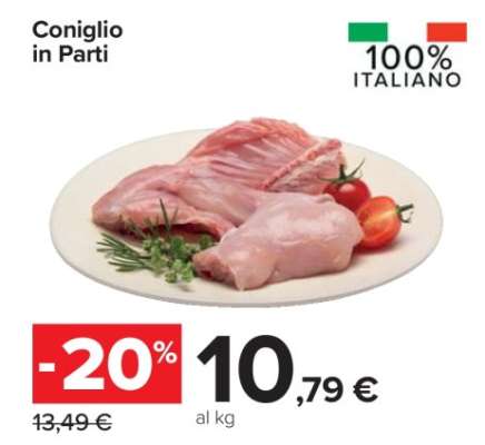 CONIGLIO IN PARTI