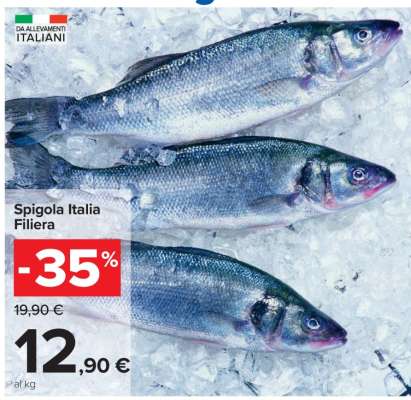 Spigola Italia Filiera
