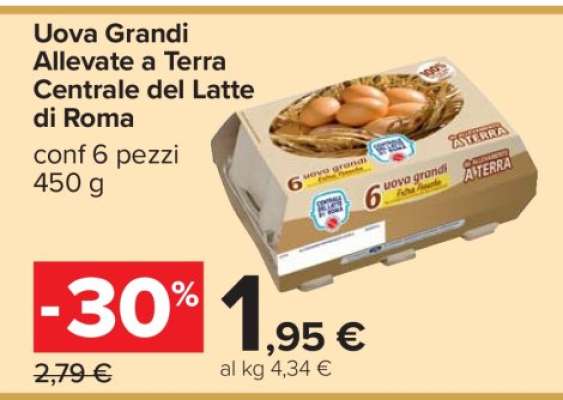 Uova Grandi Allevate a Terra Centrale del Latte di Roma