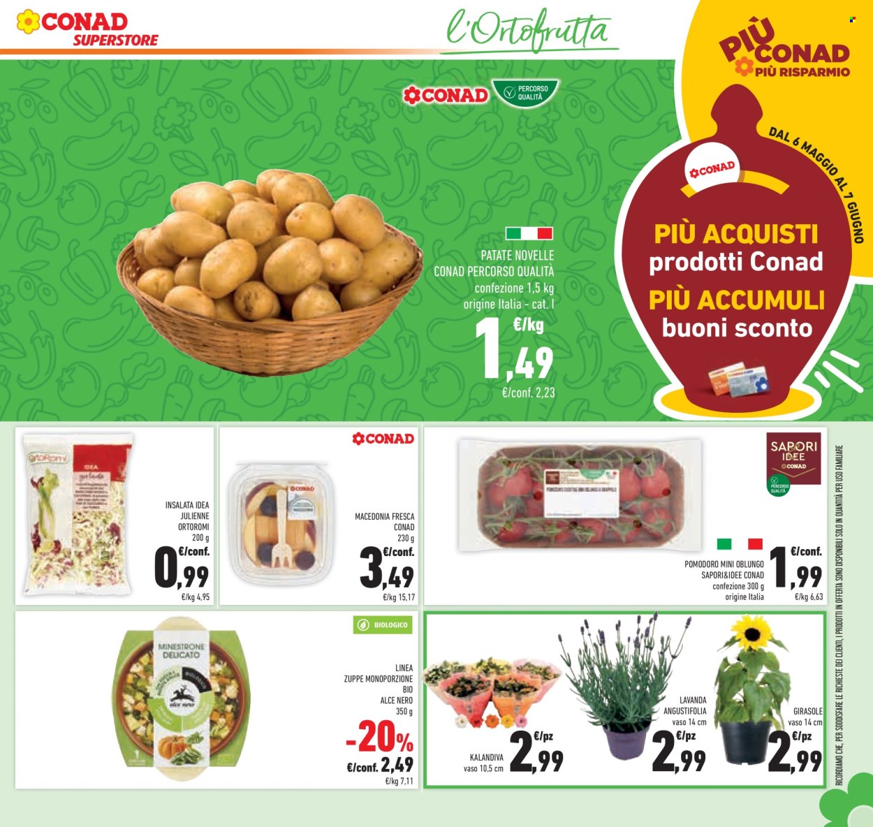Volantino Conad Superstore - 20/5/2026 - 3/6/2026. Pagina 15