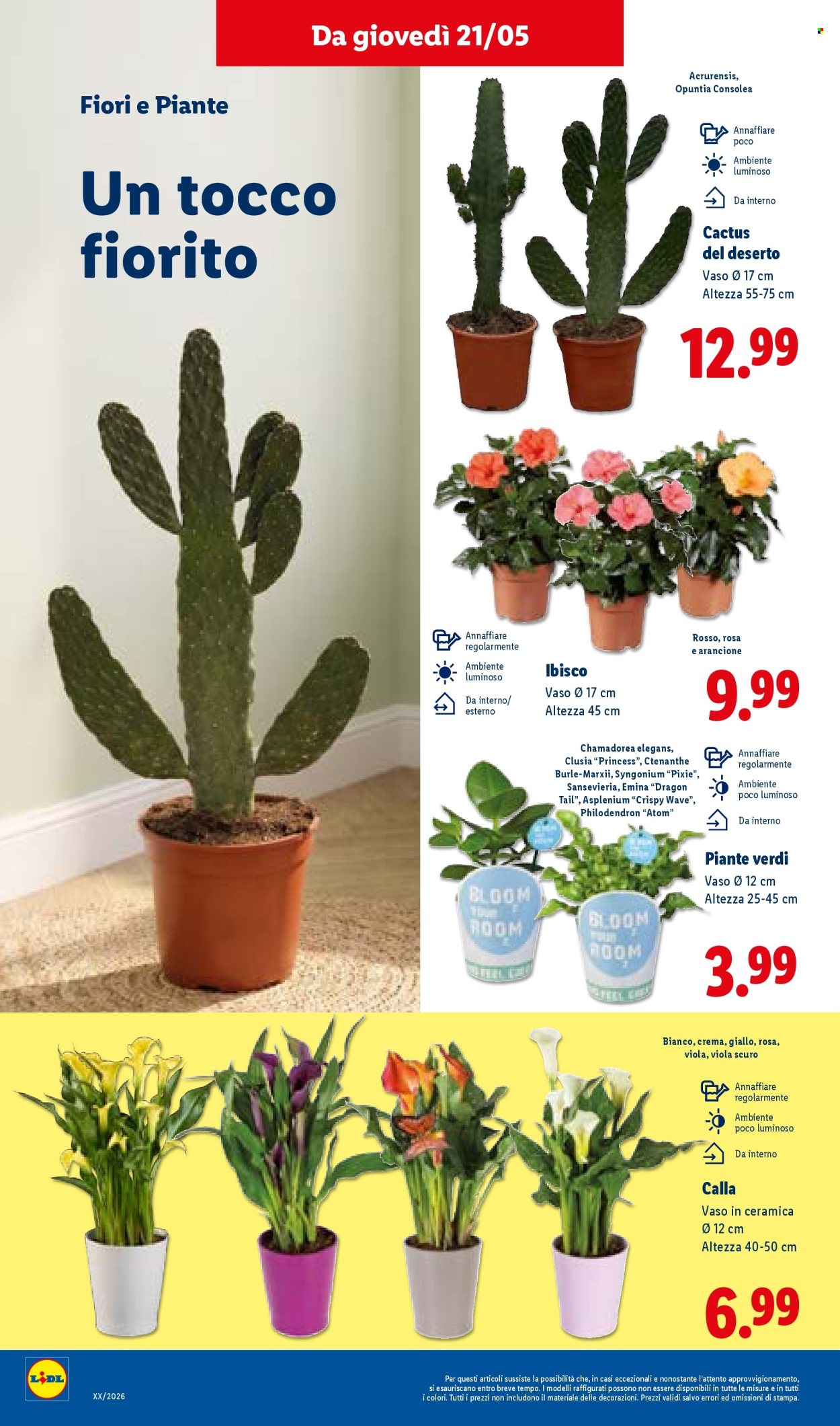 Volantino Lidl - 21/5/2026 - 27/5/2026. Pagina 36