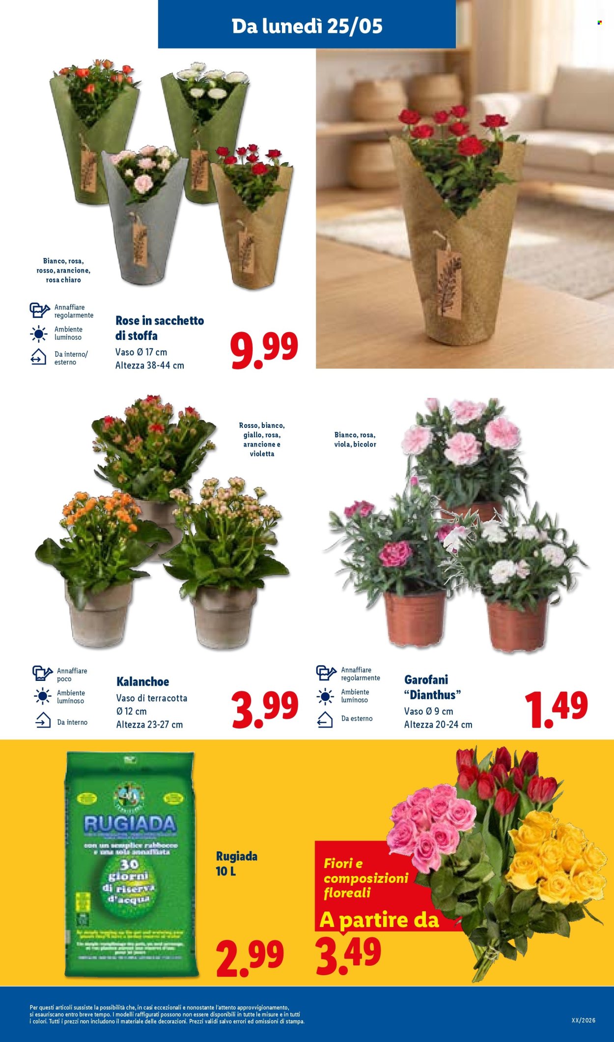 Volantino Lidl - 21/5/2026 - 27/5/2026. Pagina 37