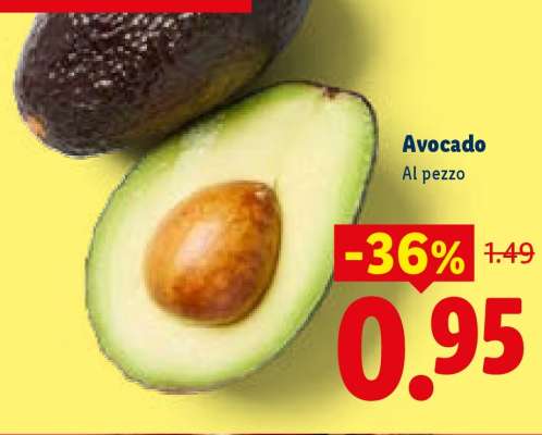 Avocado