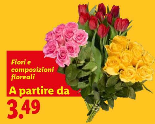 Fiori e composizioni floreali